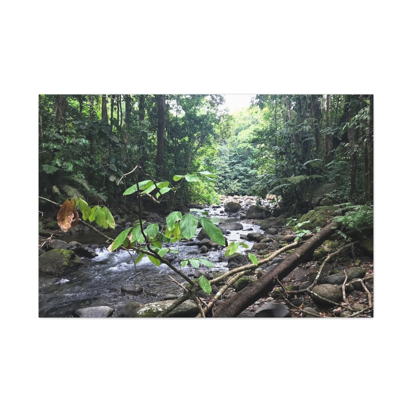 Nature-Inspired Matte Canvas Wall Art - Serene River Scene