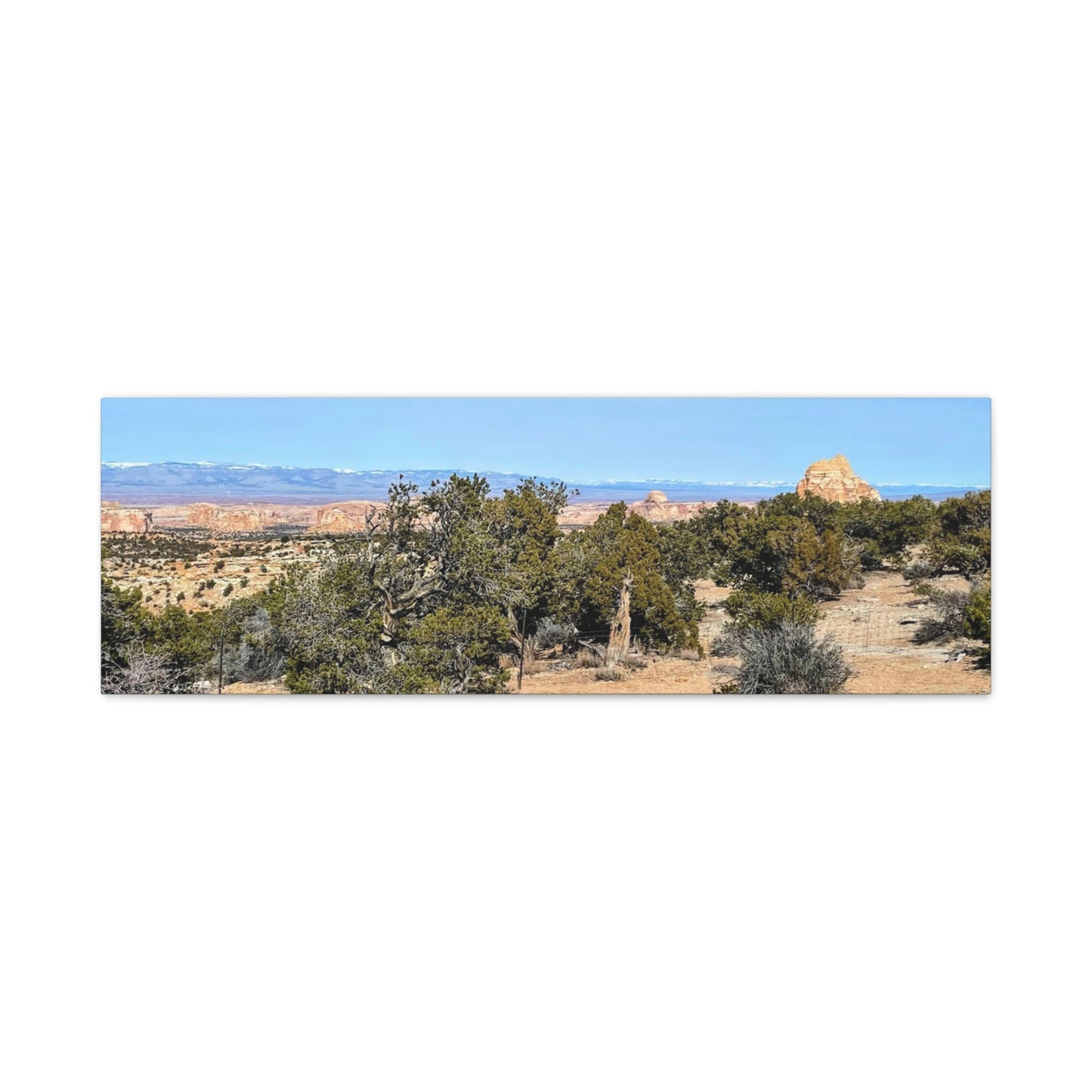 Desert Landscape Canvas Wall Art – 1.25" Matte Stretched Decor for Nature Lovers