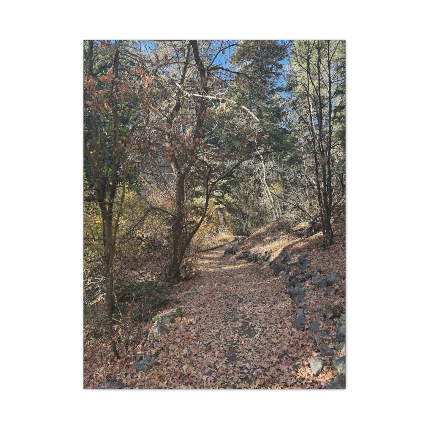 Nature-Inspired Matte Canvas Art - Stretched Wall Decor