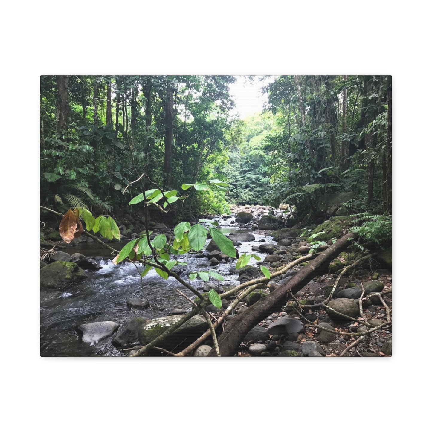 Nature-Inspired Matte Canvas Wall Art - Serene River Scene