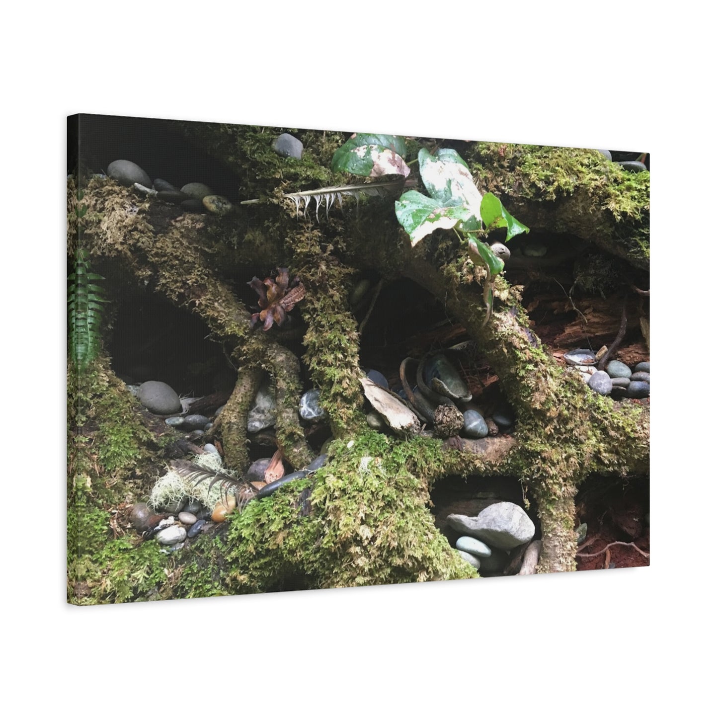Nature-Inspired Matte Canvas Wall Art - Serene Root and Stone Design
