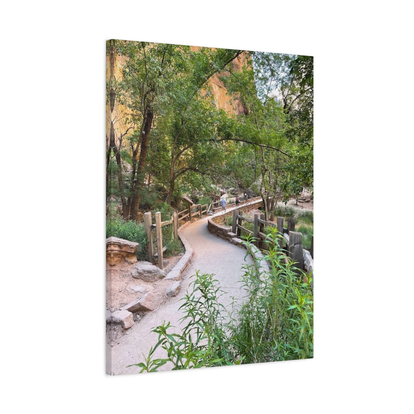 Nature Path Matte Canvas Wall Art - Scenic Landscape Decor