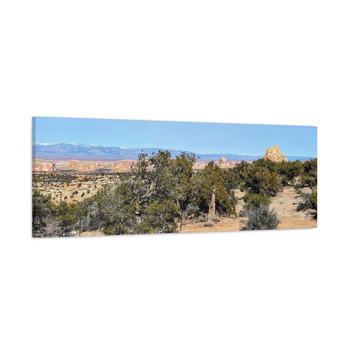 Desert Landscape Canvas Wall Art – 1.25" Matte Stretched Decor for Nature Lovers