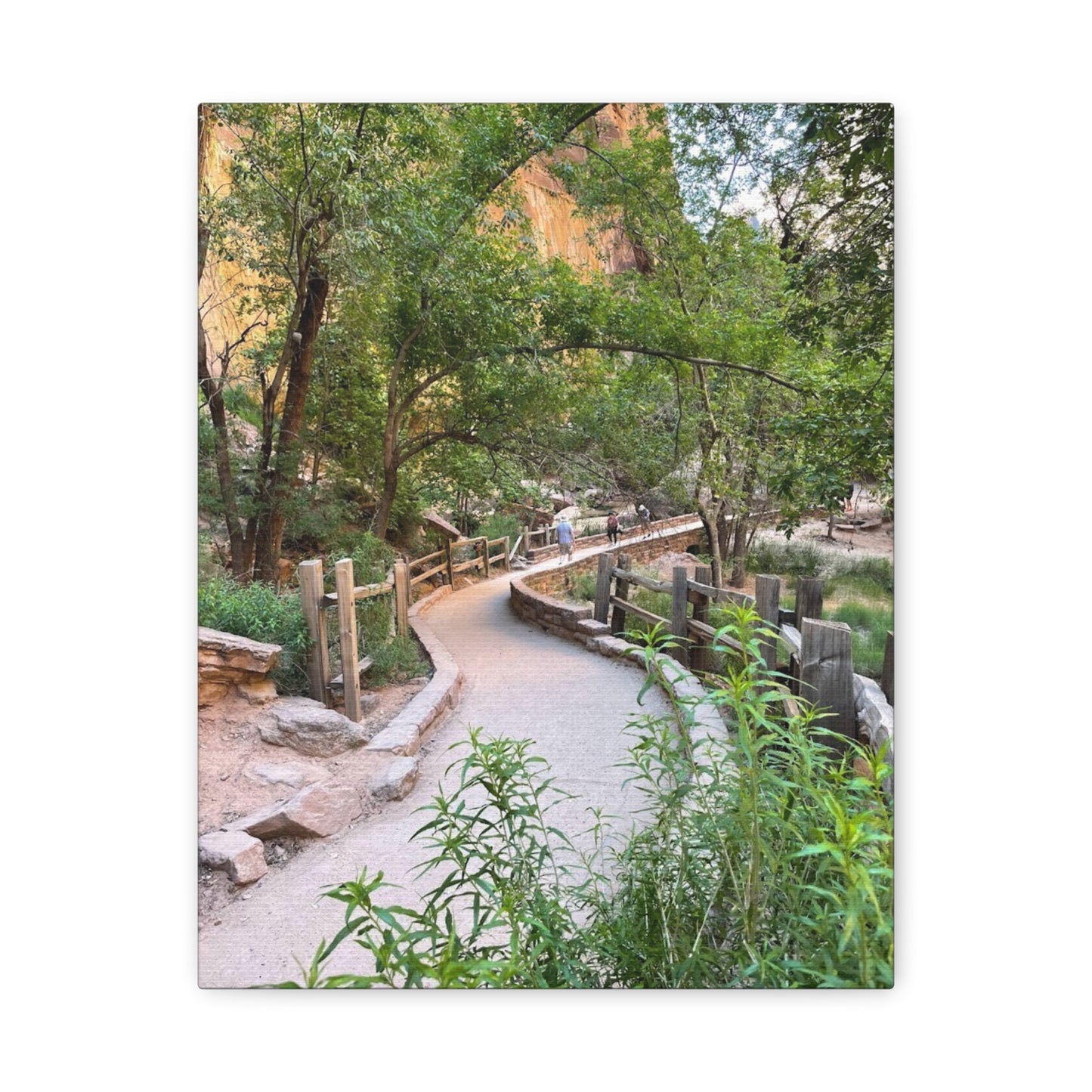 Nature Path Matte Canvas Wall Art - Scenic Landscape Decor