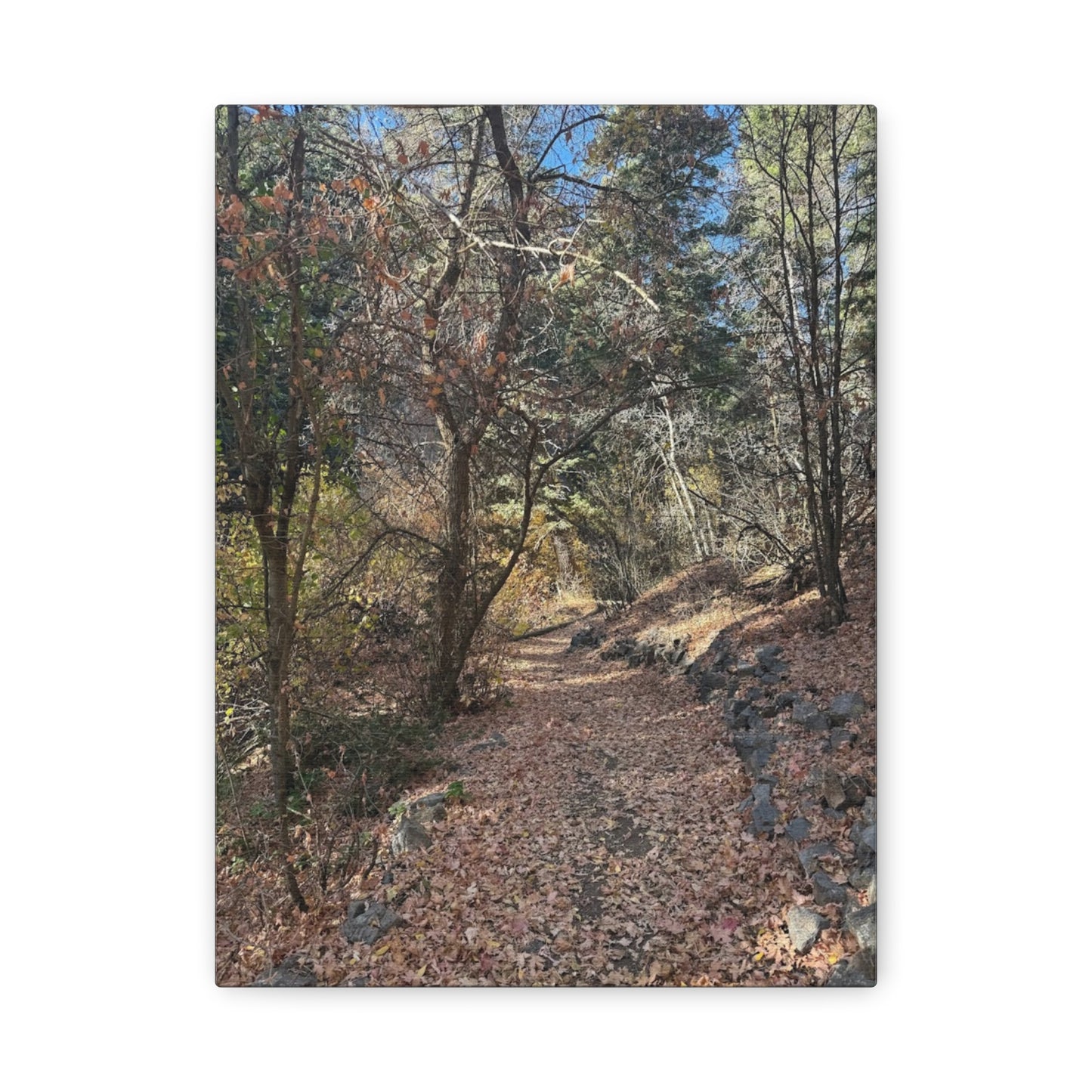 Nature-Inspired Matte Canvas Art - Stretched Wall Decor