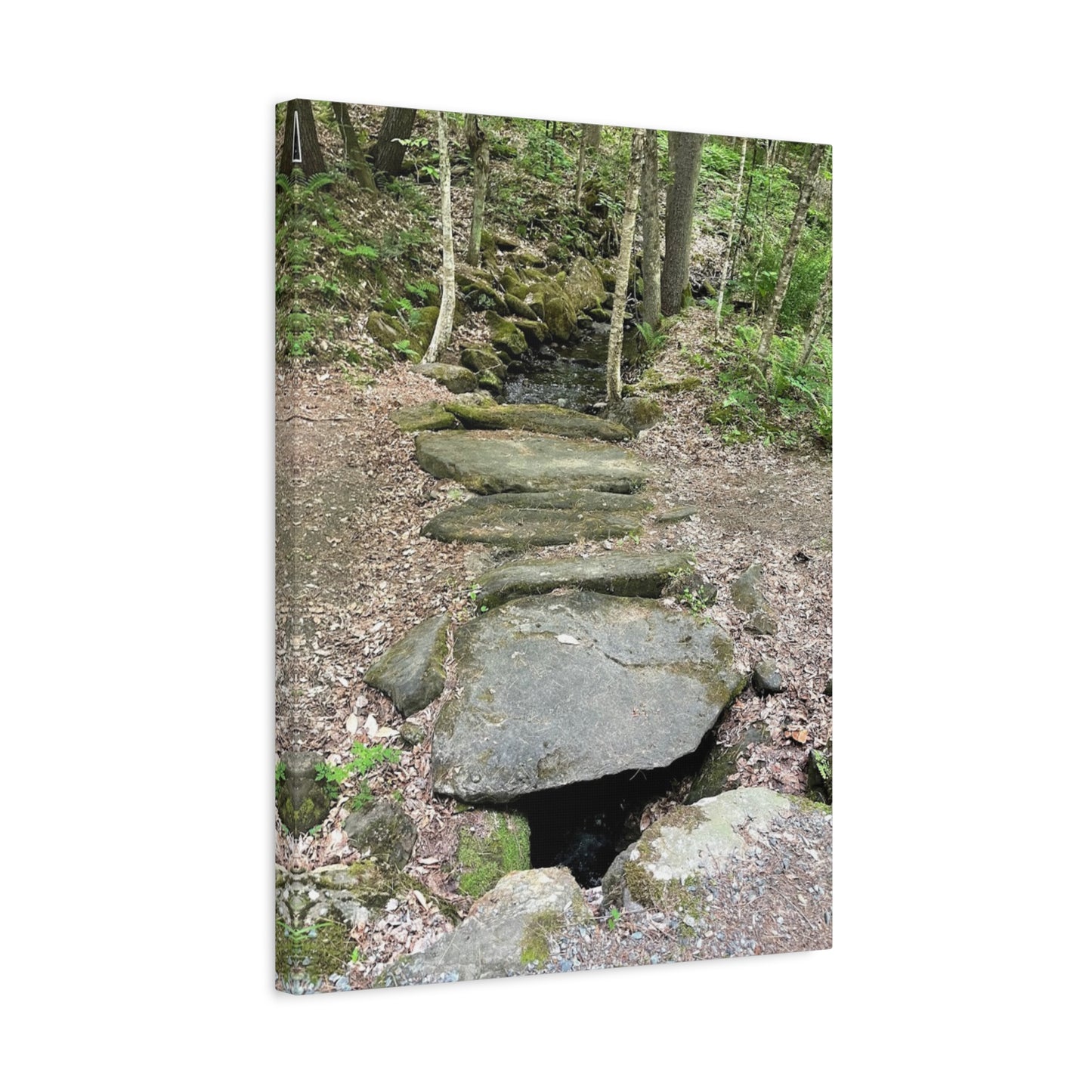 Nature-Inspired Stretched Canvas Art - Serene Stream Pathway Décor