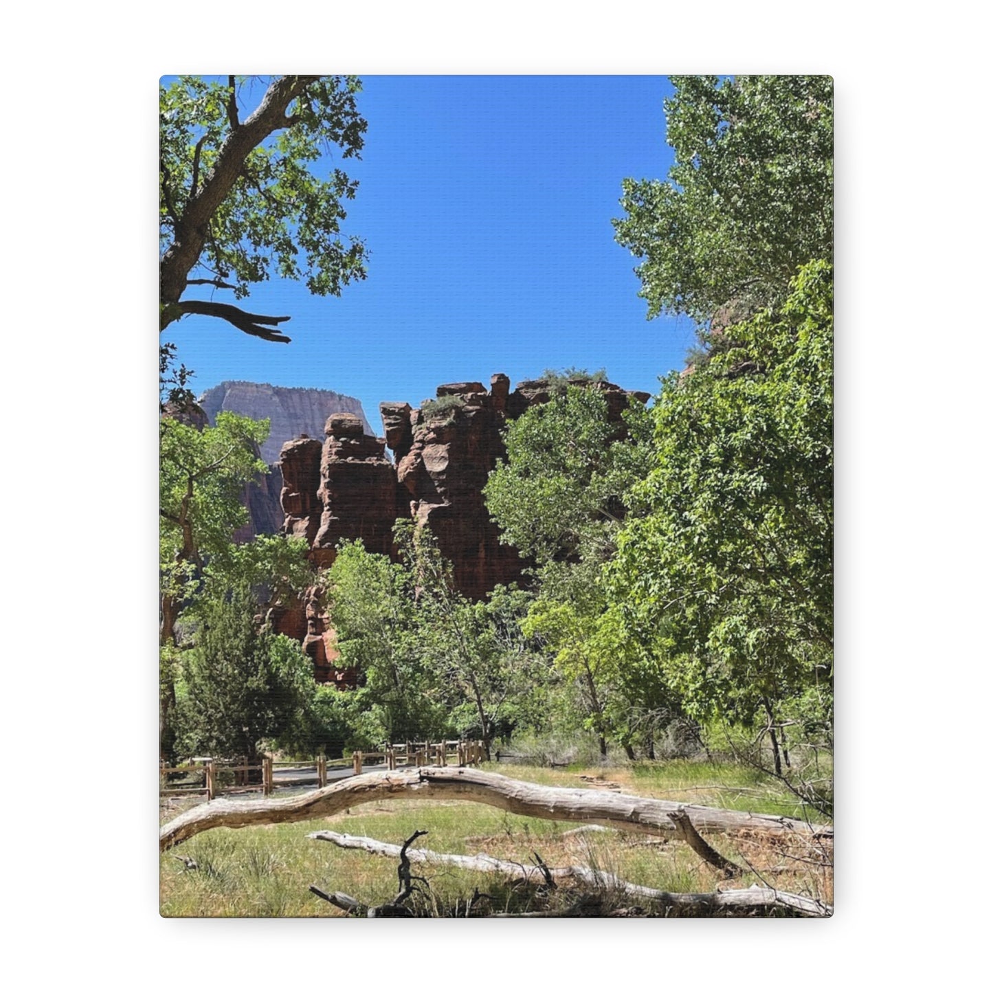 Stretched Canvas Art - Scenic Nature Landscape