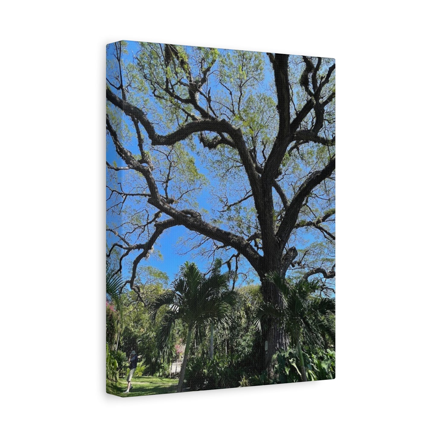 Nature-Inspired Stretched Canvas Art - Large Tree Print