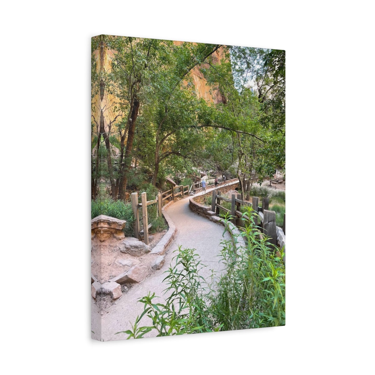 Nature Path Matte Canvas Wall Art - Scenic Landscape Decor
