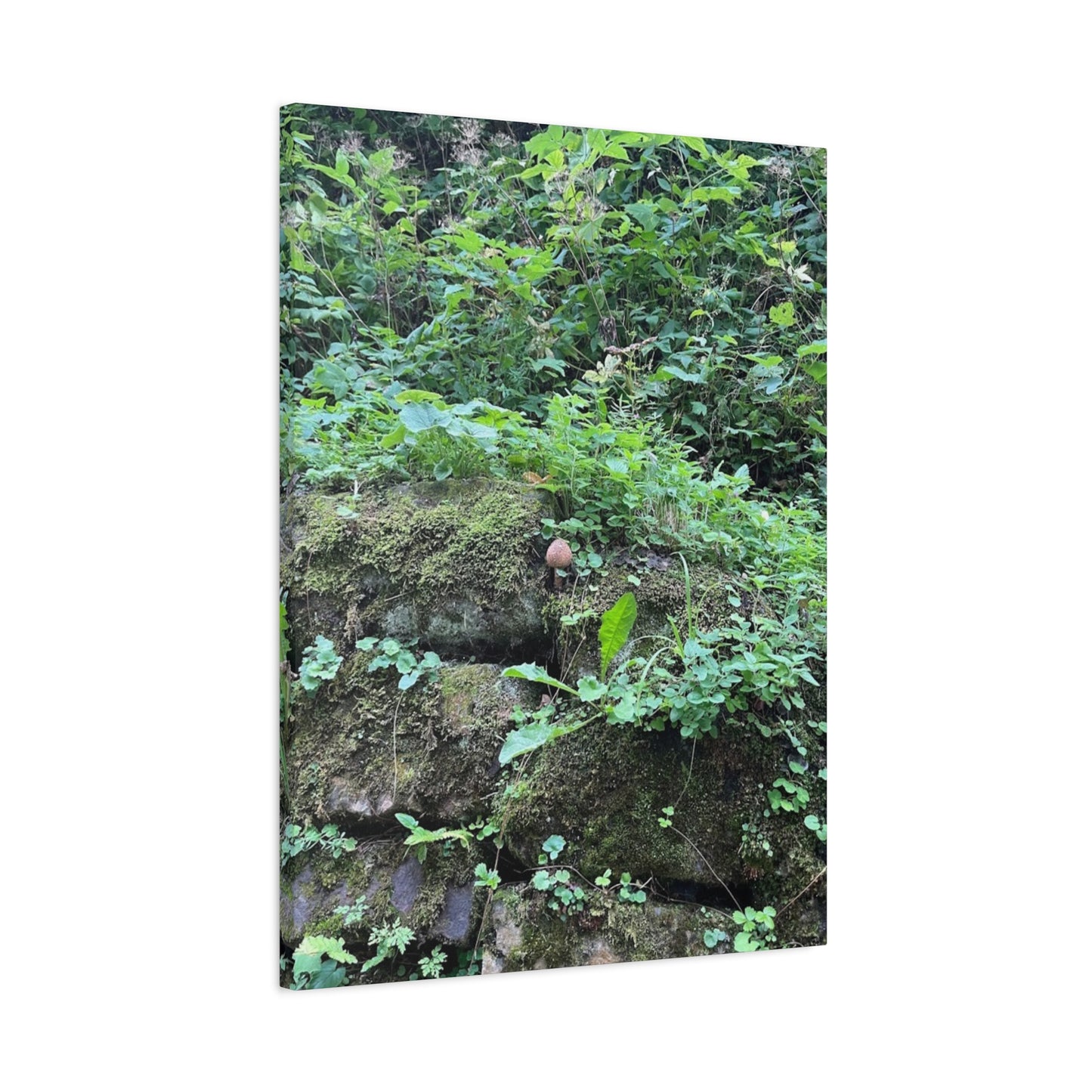 Nature-Inspired Stretched Canvas Print - Rustic Greenery Art for Home Décor