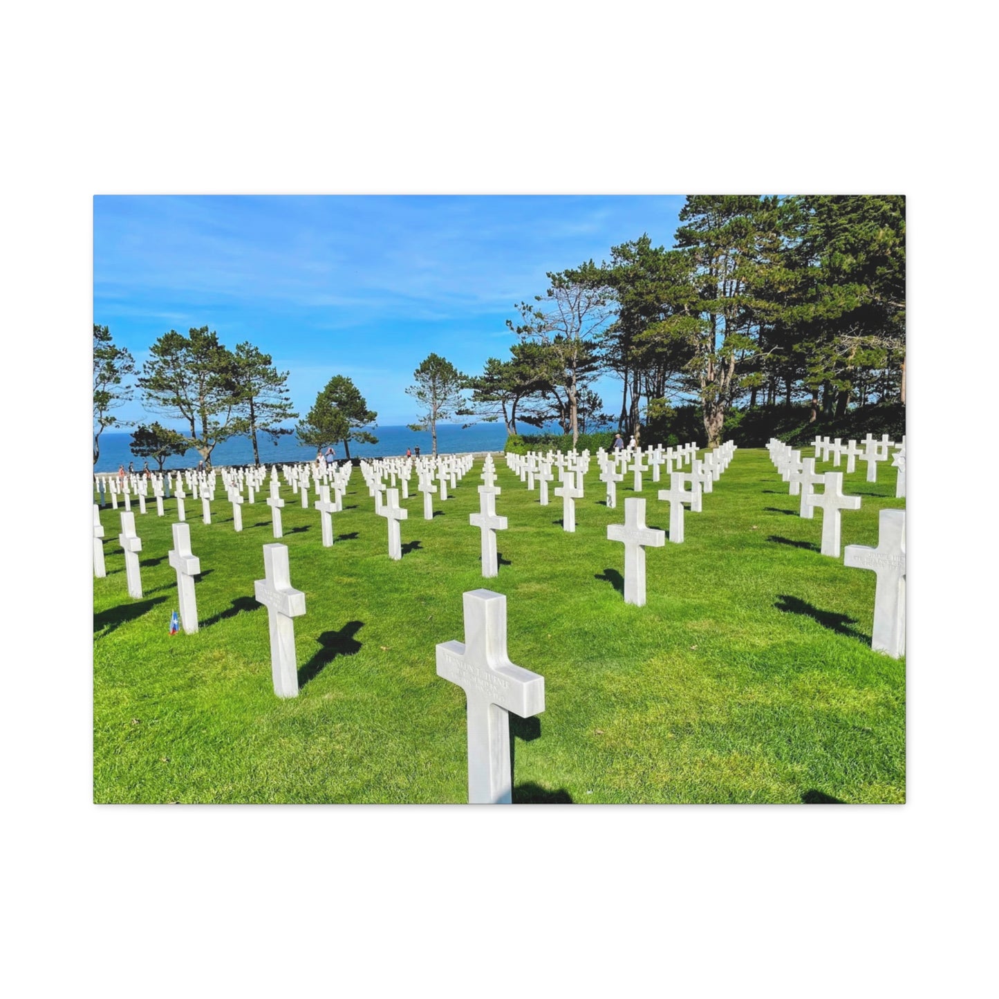Memorial Canvas Print - Serene Cemetery Scene for Remembrance Normandy American Cemetery