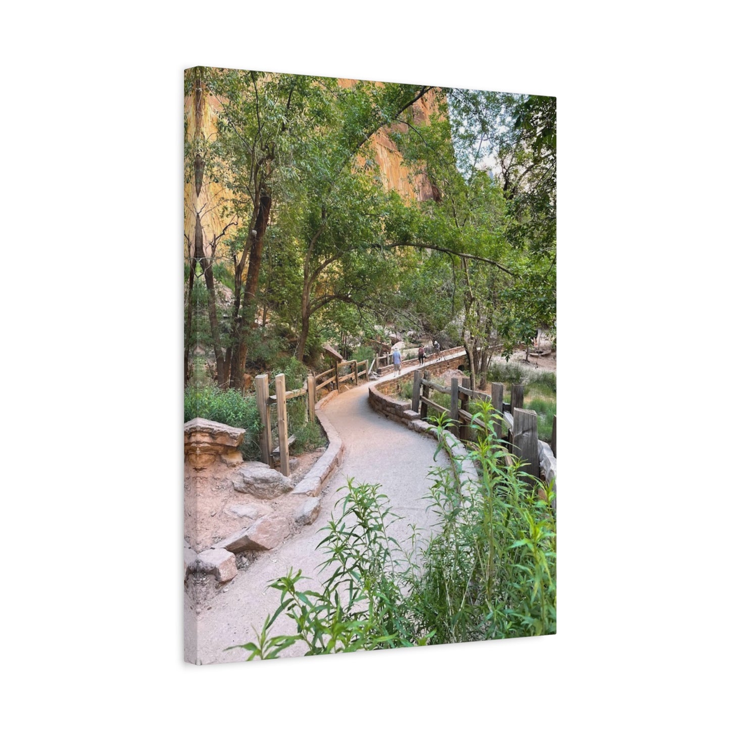 Nature Path Matte Canvas Wall Art - Scenic Landscape Decor