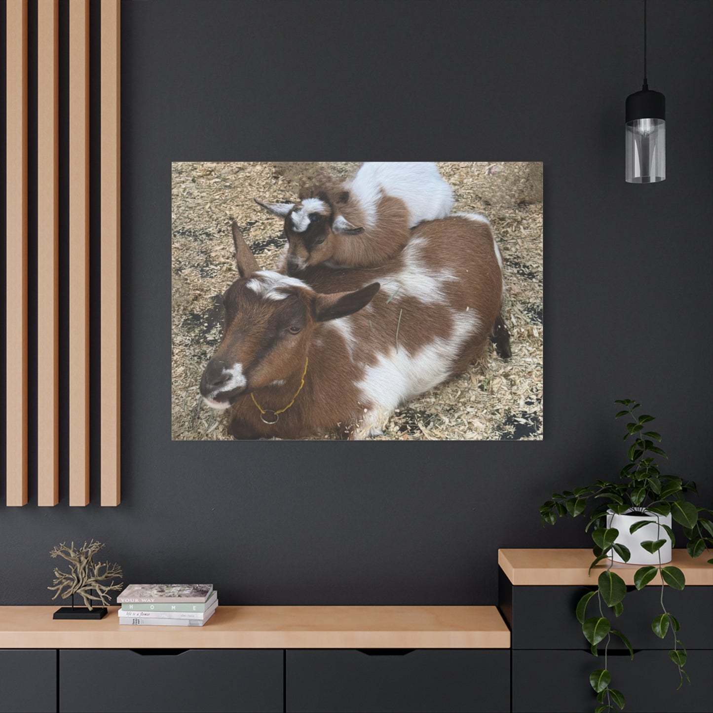 Goat Family Matte Canvas Print - Heartwarming Animal Wall Art