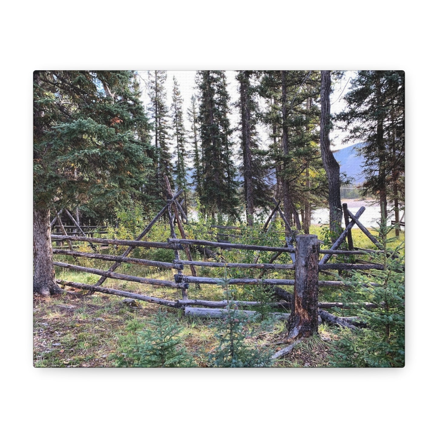 Nature-Inspired Wall Art Canvas Print - Tranquil Forest Scene