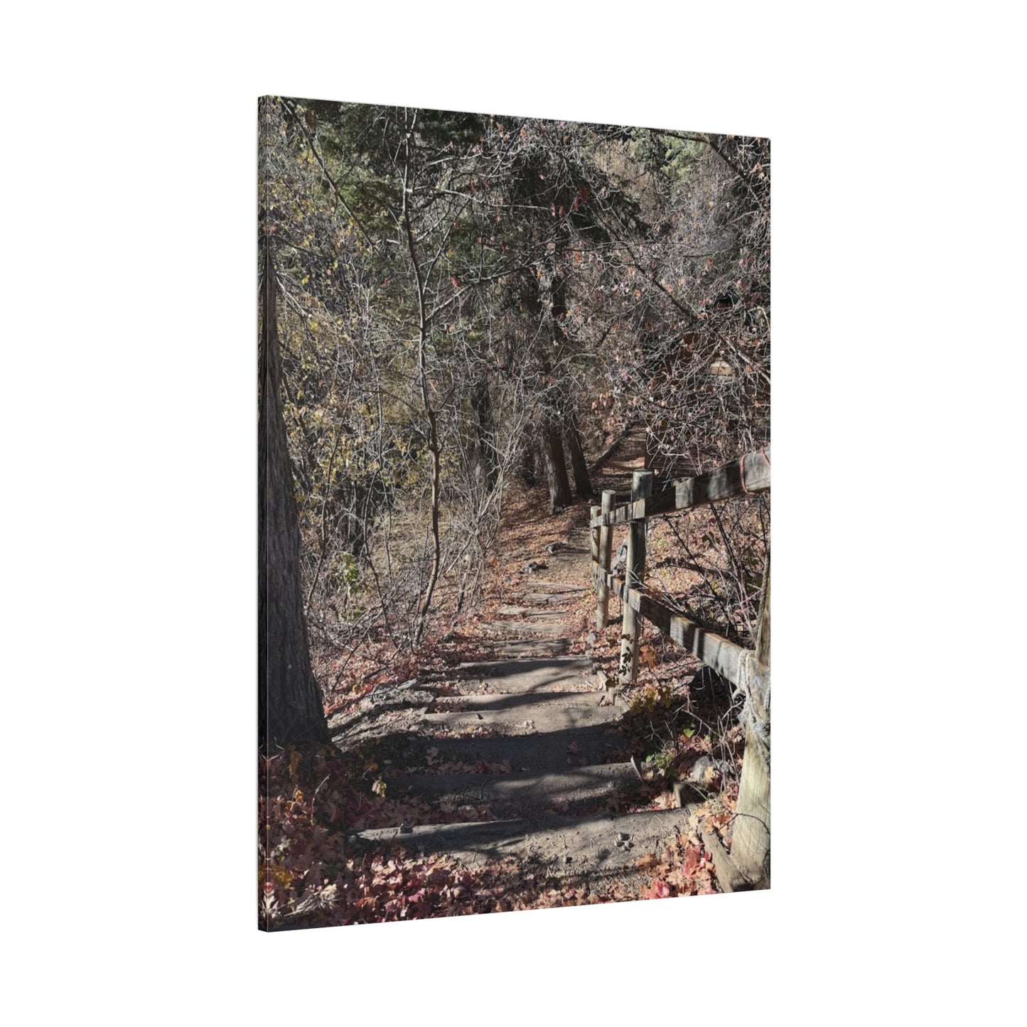 Nature Path Matte Canvas Wall Art - Tranquil Landscape Decor