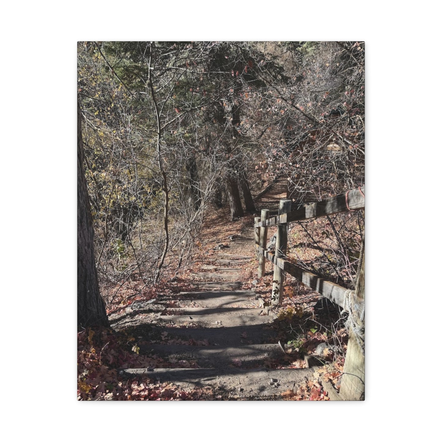 Nature Path Matte Canvas Wall Art - Tranquil Landscape Decor