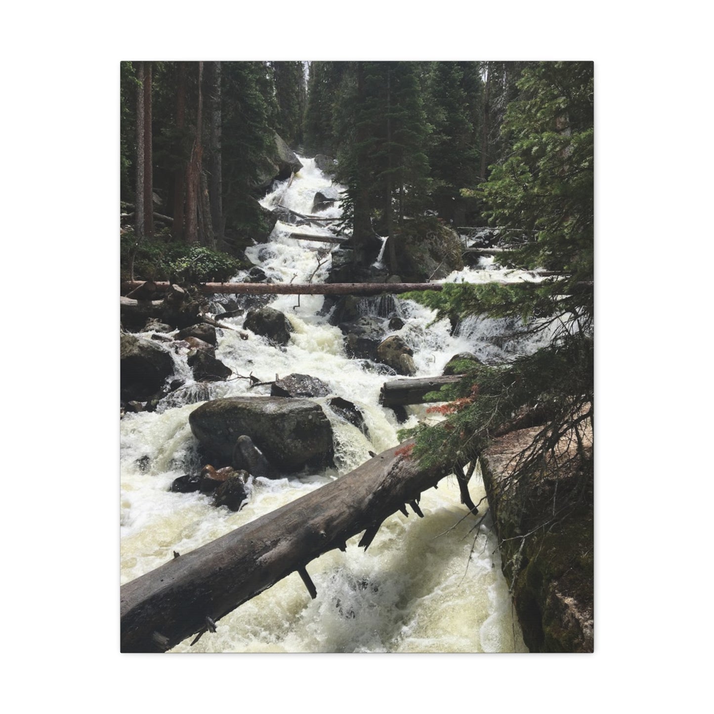 Nature Waterfall Canvas Art - Stretched Matte Wall Decor