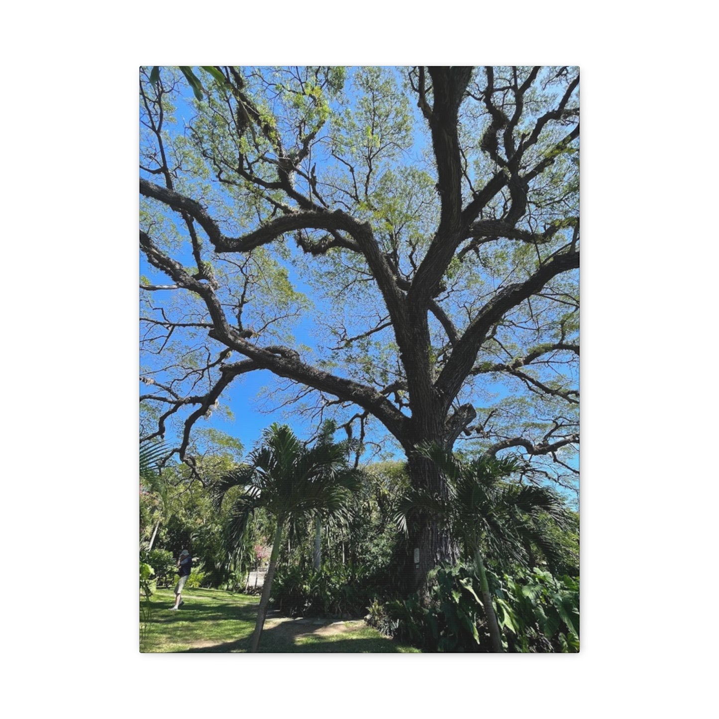 Nature-Inspired Stretched Canvas Art - Large Tree Print