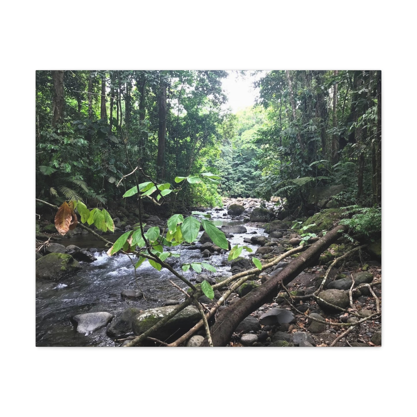 Nature-Inspired Matte Canvas Wall Art - Serene River Scene