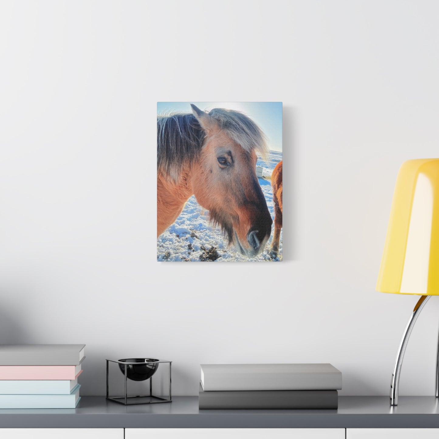 Beautiful Horse Canvas Wall Art - Stretched Matte Print for Animal Lovers