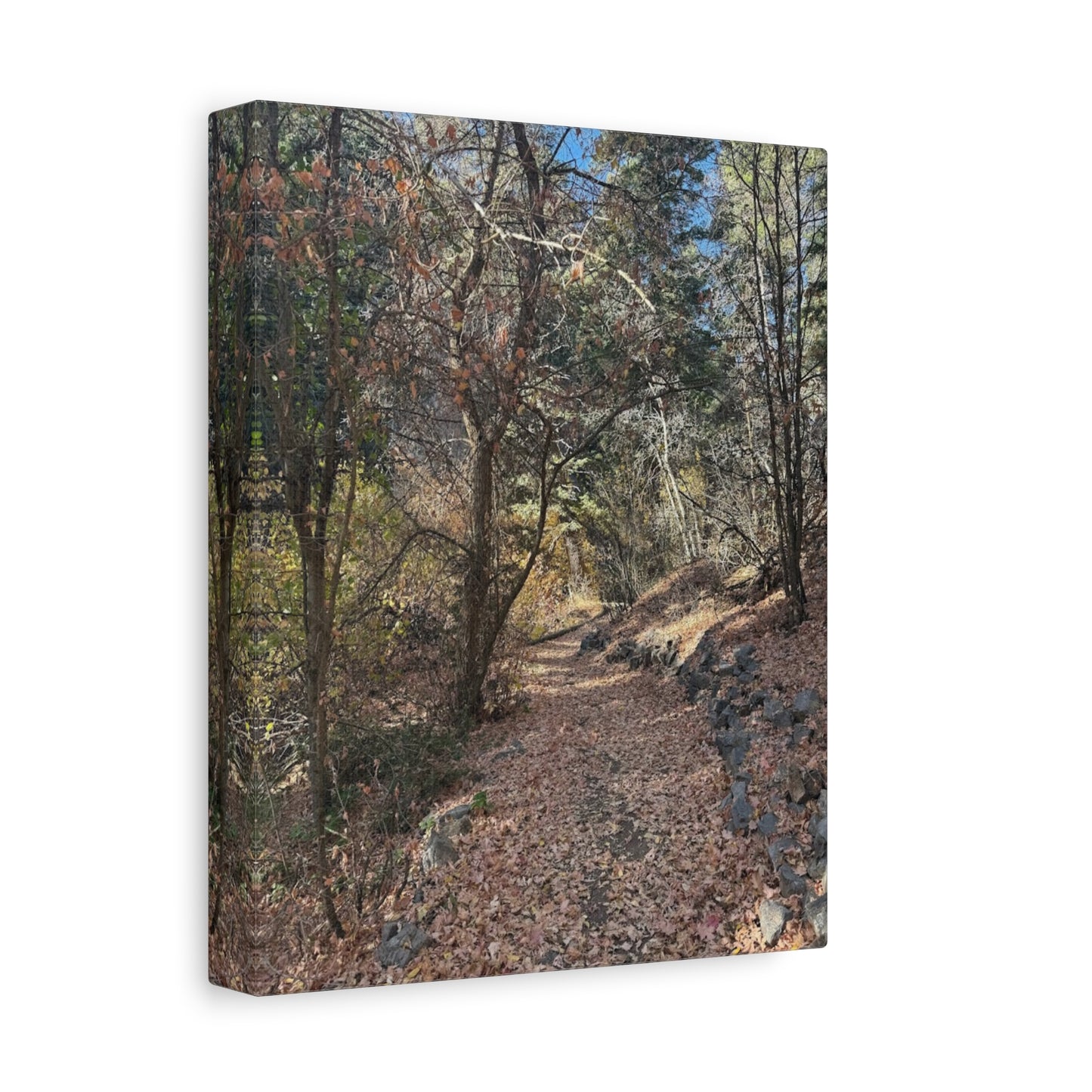 Nature-Inspired Matte Canvas Art - Stretched Wall Decor
