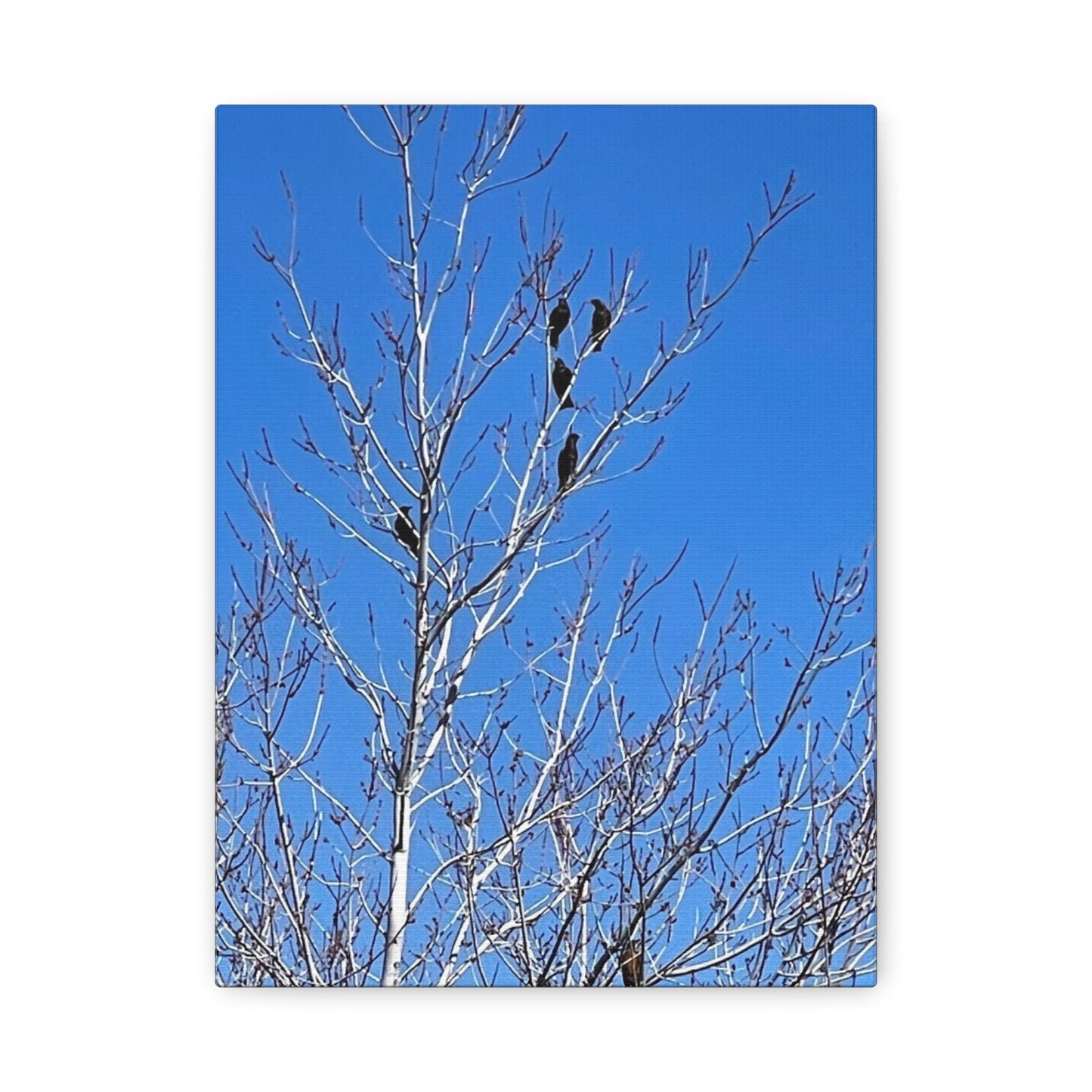 Serene Bird Canvas Wall Art - Tranquil Nature Decor for Home and Office