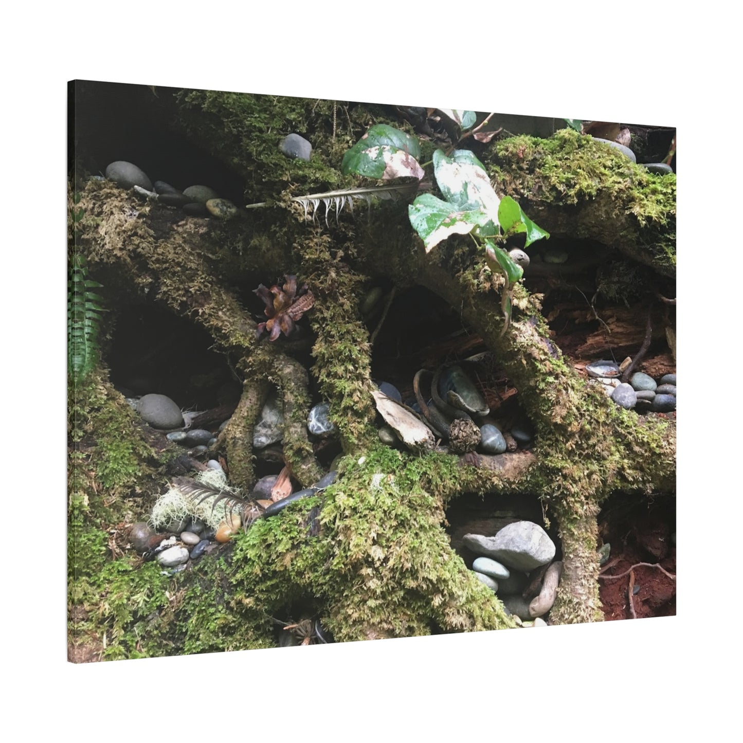 Nature-Inspired Matte Canvas Wall Art - Serene Root and Stone Design