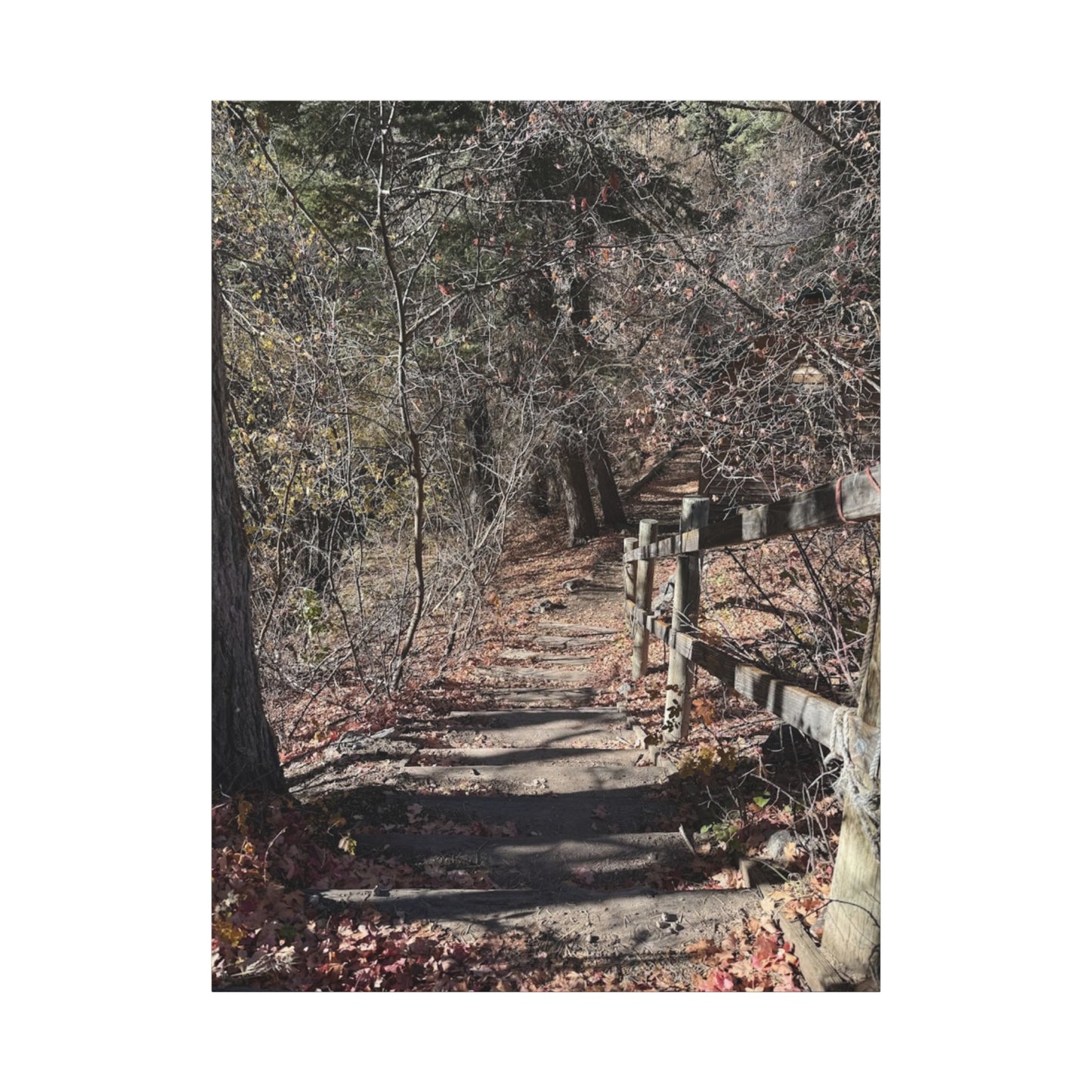 Nature Path Matte Canvas Wall Art - Tranquil Landscape Decor