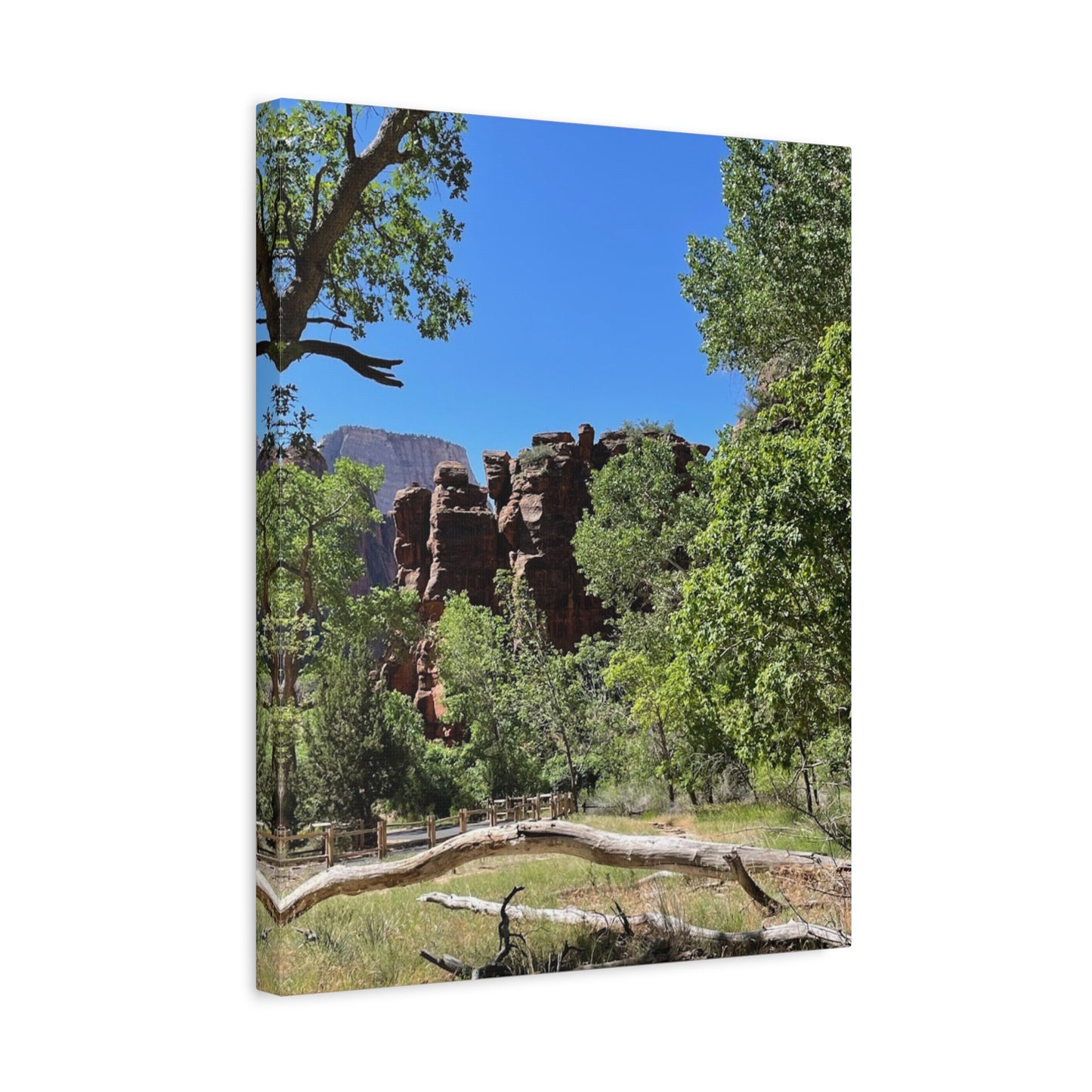 Stretched Canvas Art - Scenic Nature Landscape