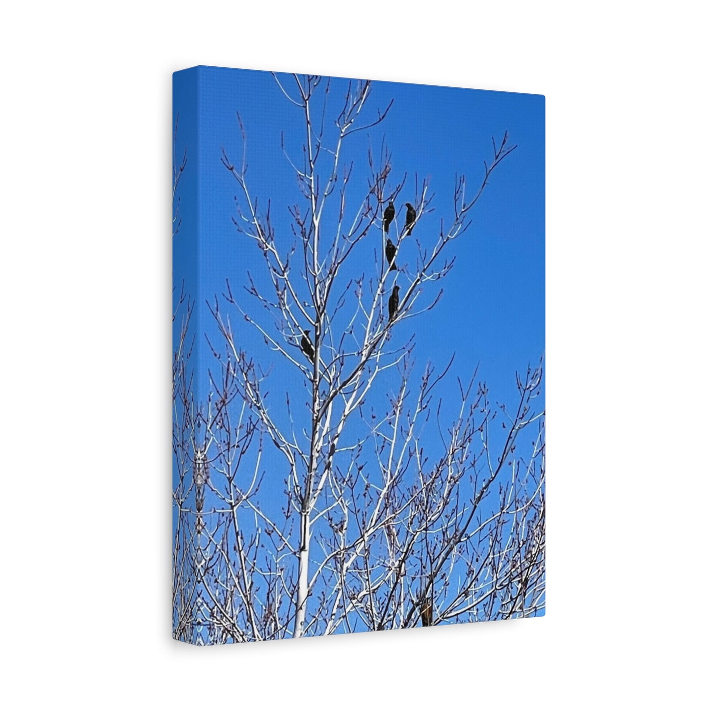 Serene Bird Canvas Wall Art - Tranquil Nature Decor for Home and Office