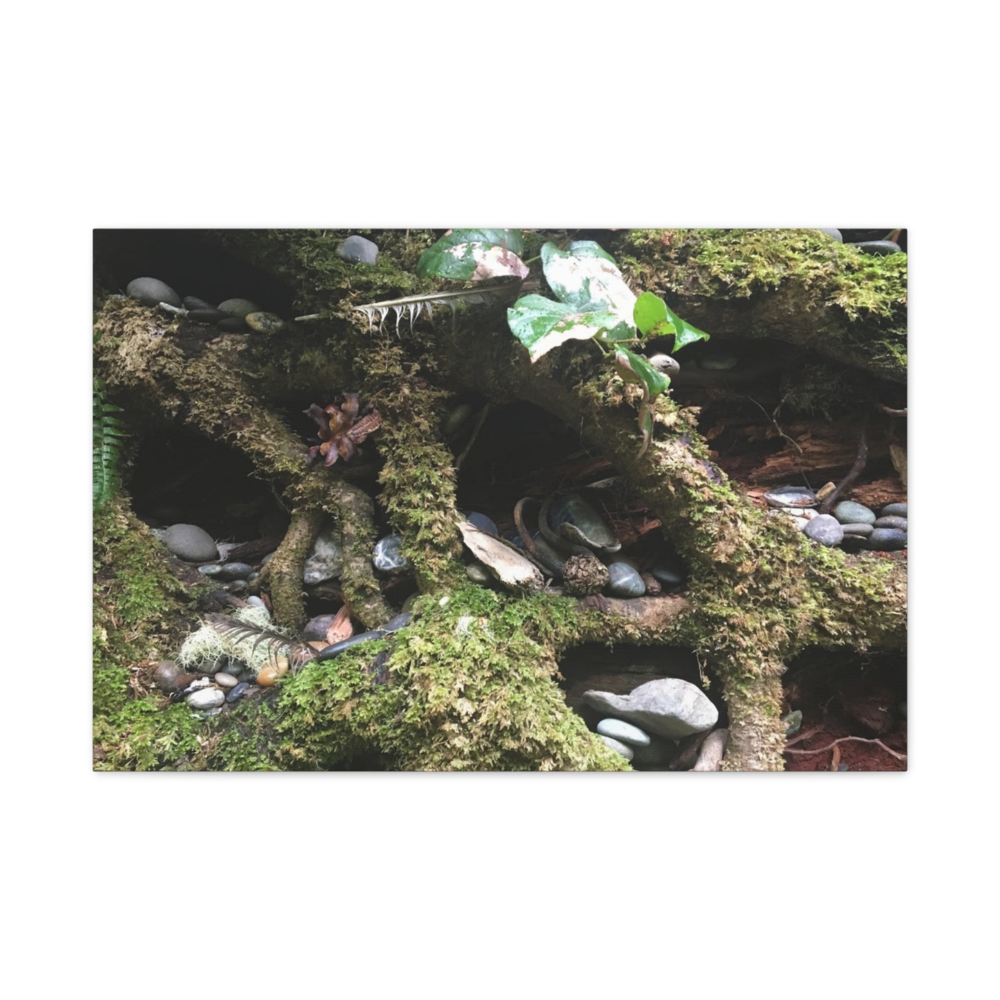 Nature-Inspired Matte Canvas Wall Art - Serene Root and Stone Design