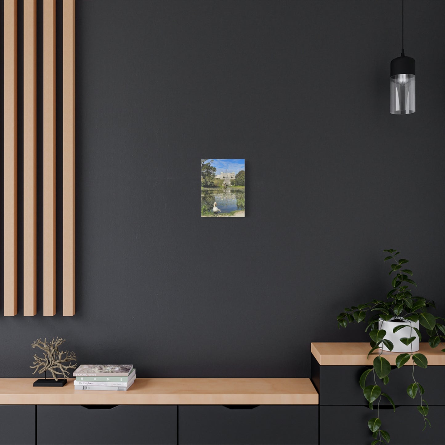 Stretched Matte Canvas Print - Serene Swan Reflection in Nature Powerscourt Estate, Wicklow Ireland