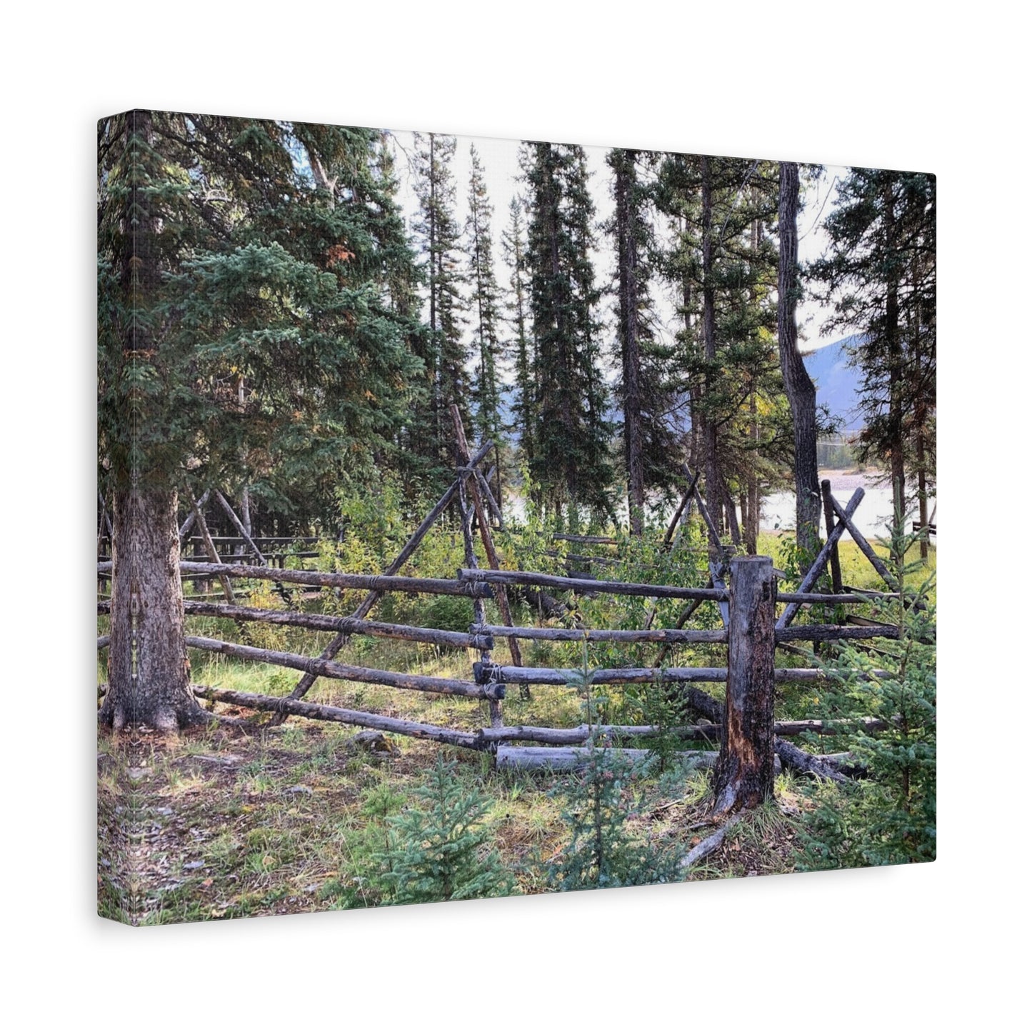 Nature-Inspired Wall Art Canvas Print - Tranquil Forest Scene