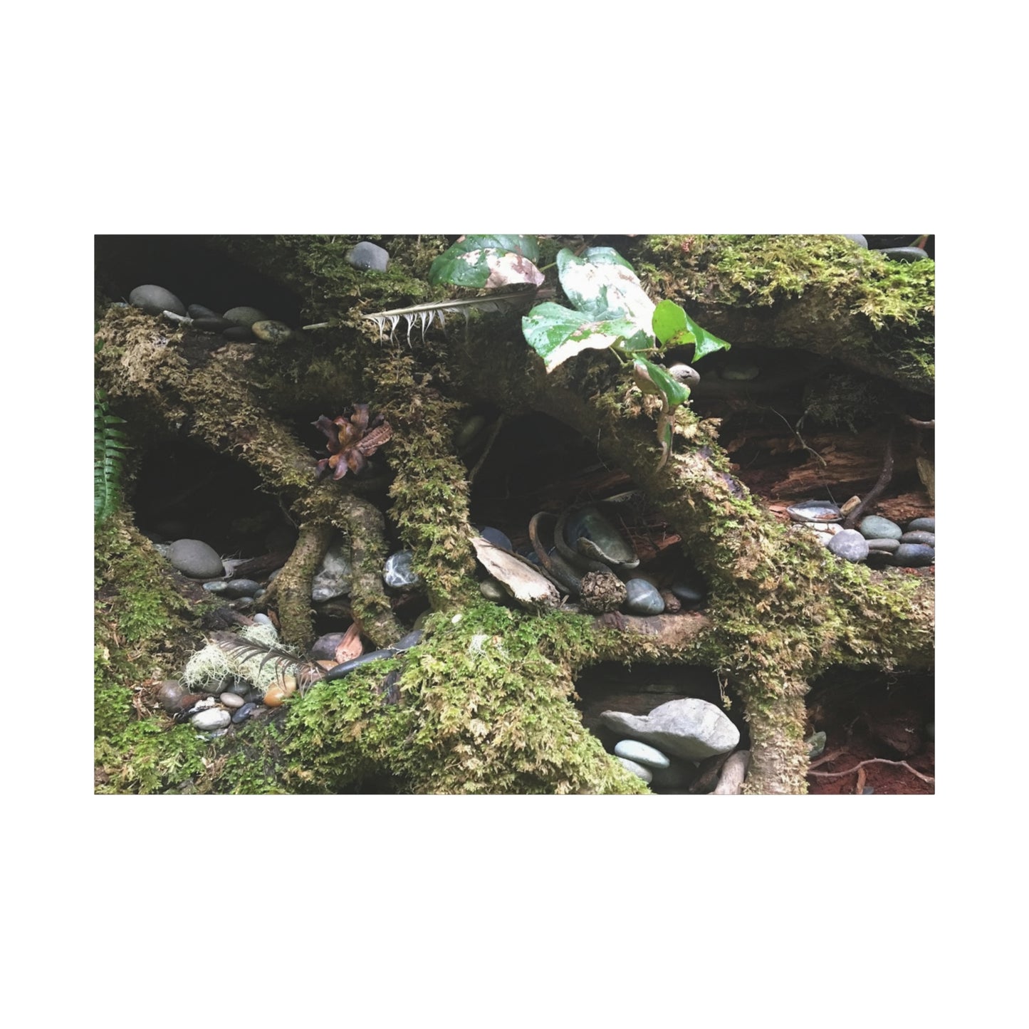 Nature-Inspired Matte Canvas Wall Art - Serene Root and Stone Design