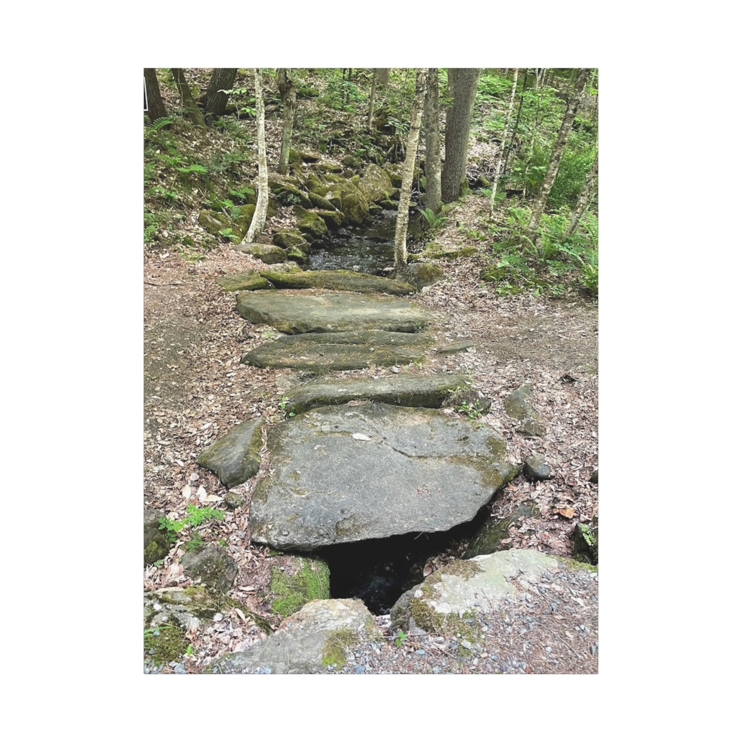 Nature-Inspired Stretched Canvas Art - Serene Stream Pathway Décor