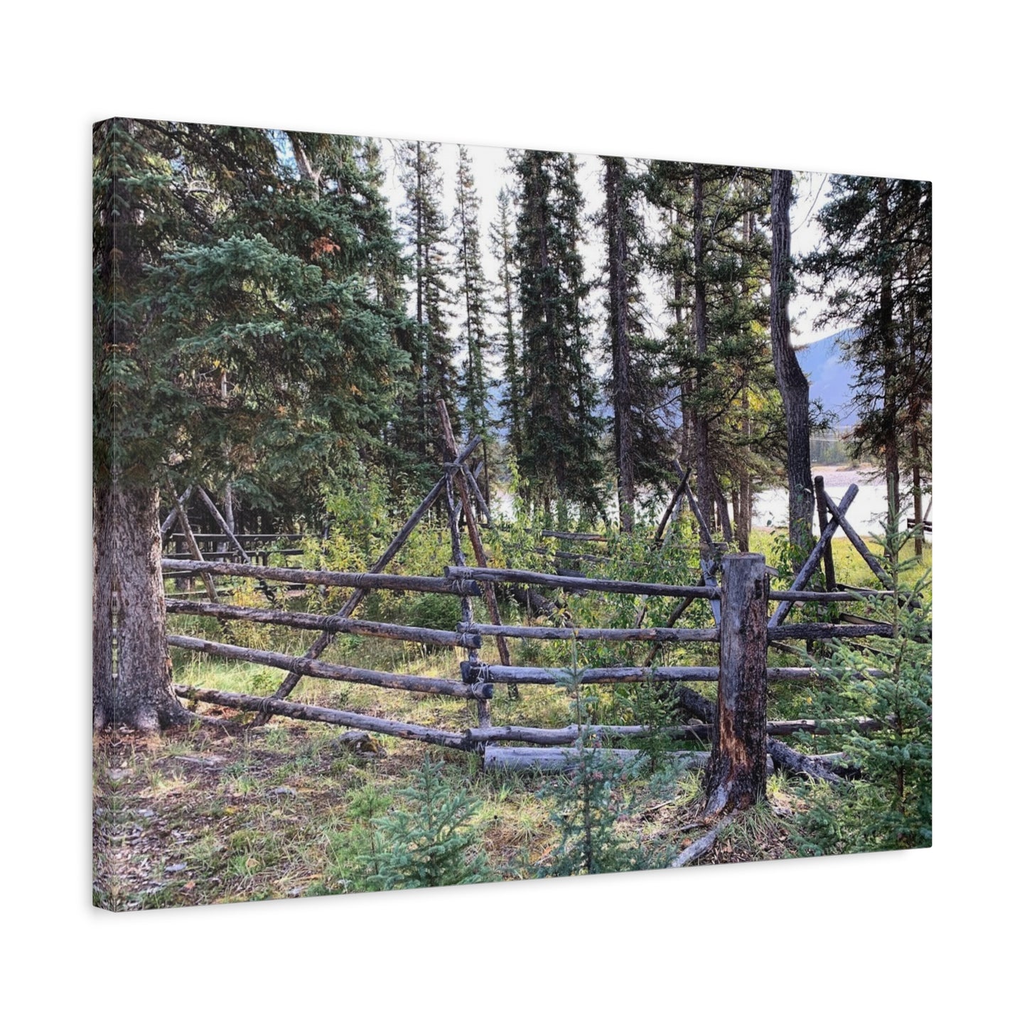 Nature-Inspired Wall Art Canvas Print - Tranquil Forest Scene