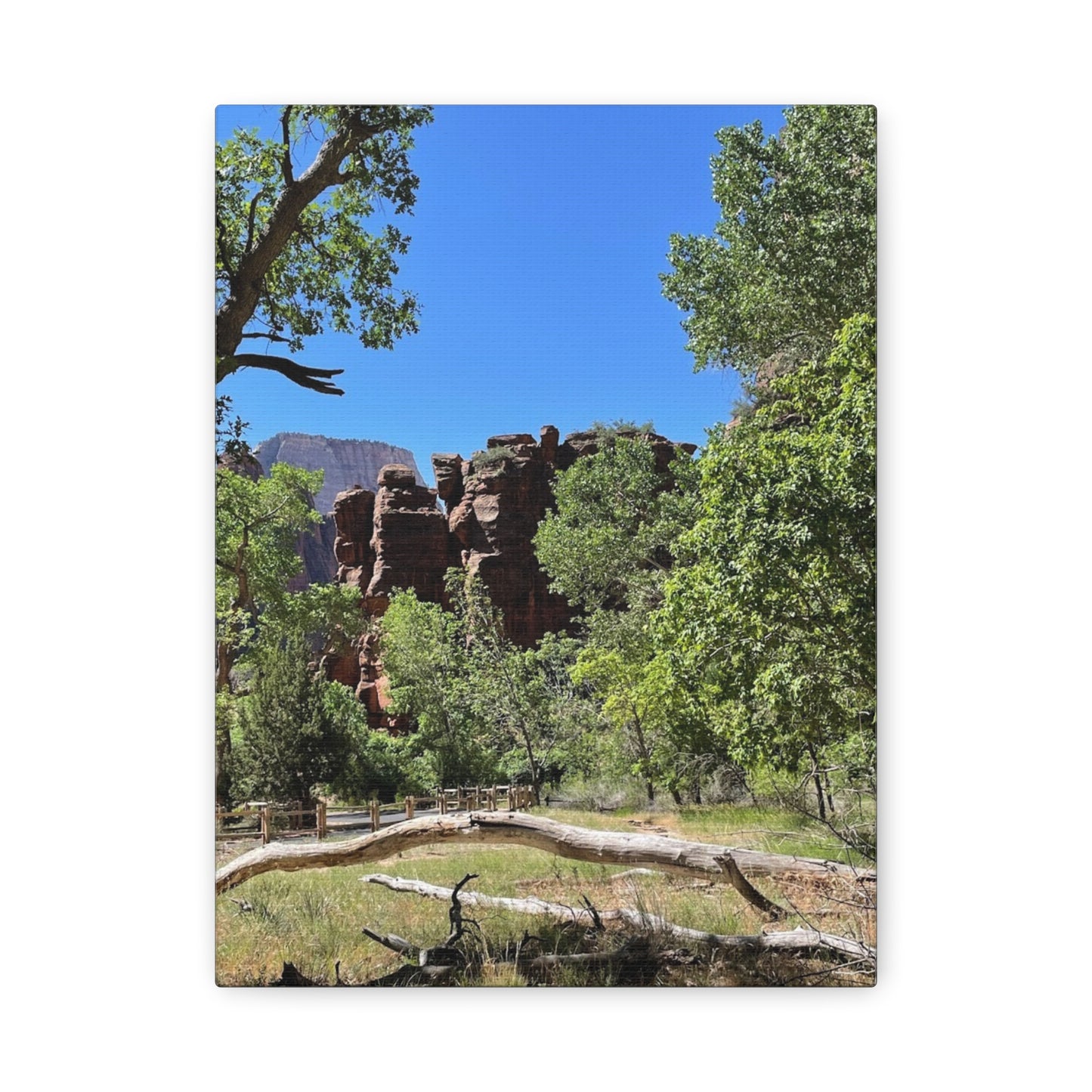 Stretched Canvas Art - Scenic Nature Landscape
