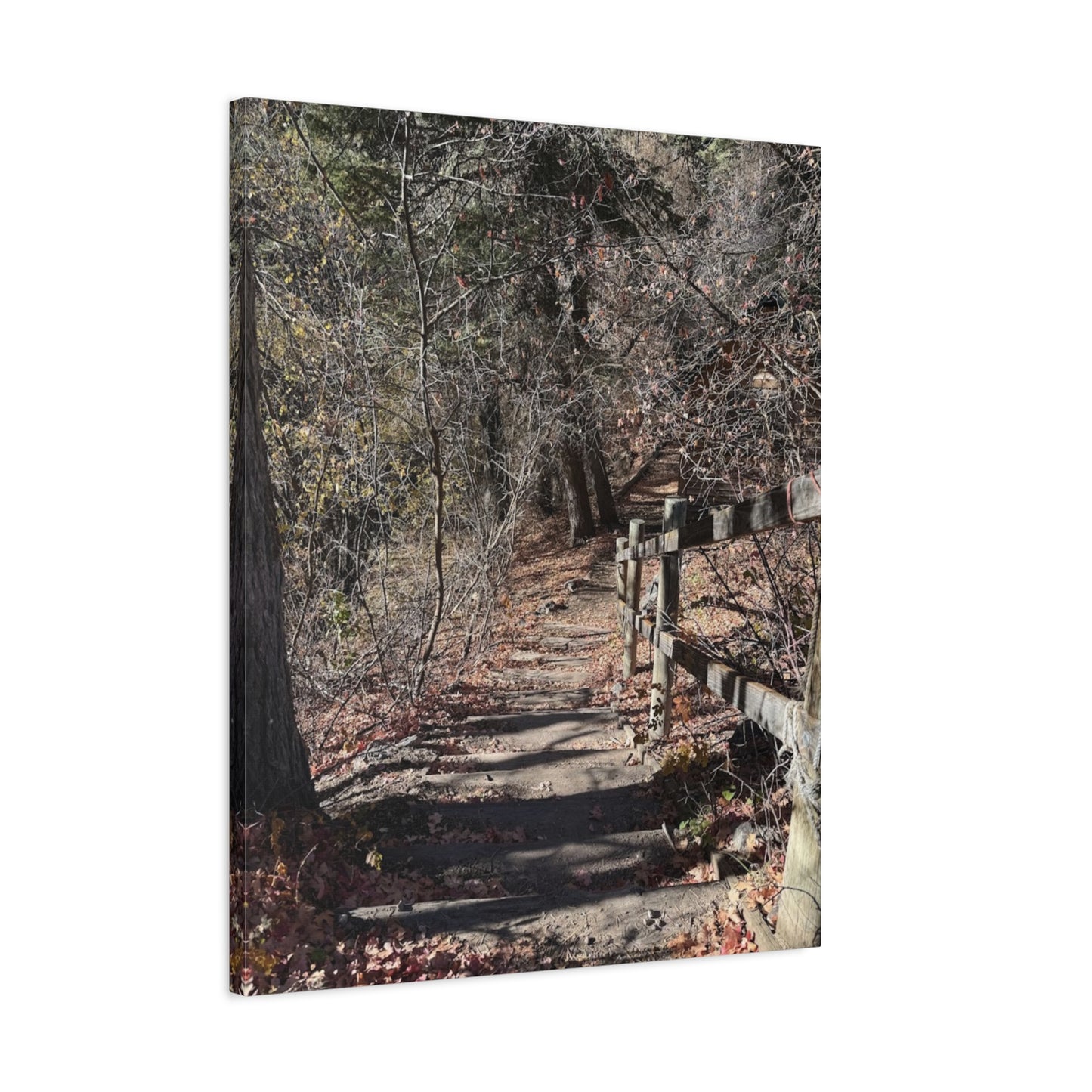 Nature Path Matte Canvas Wall Art - Tranquil Landscape Decor