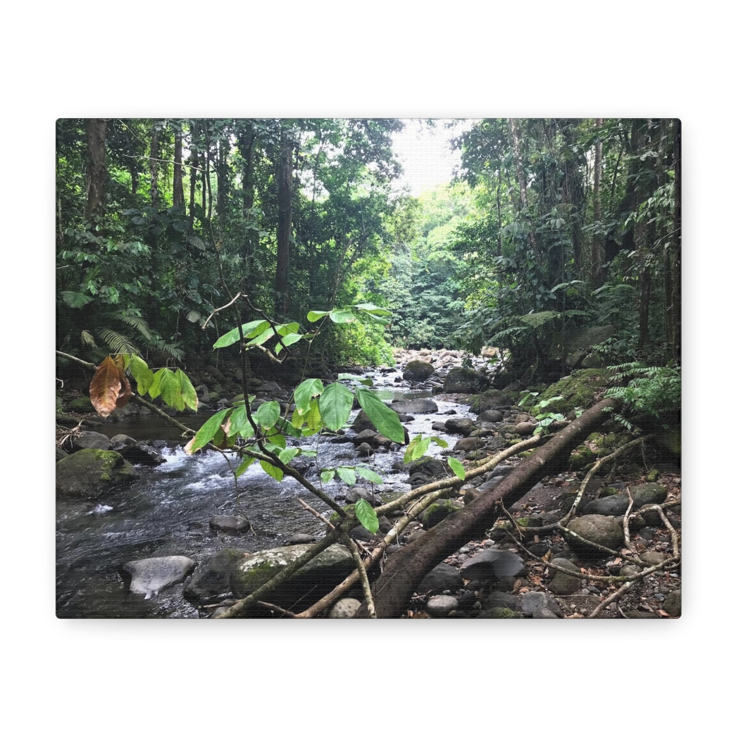Nature-Inspired Matte Canvas Wall Art - Serene River Scene