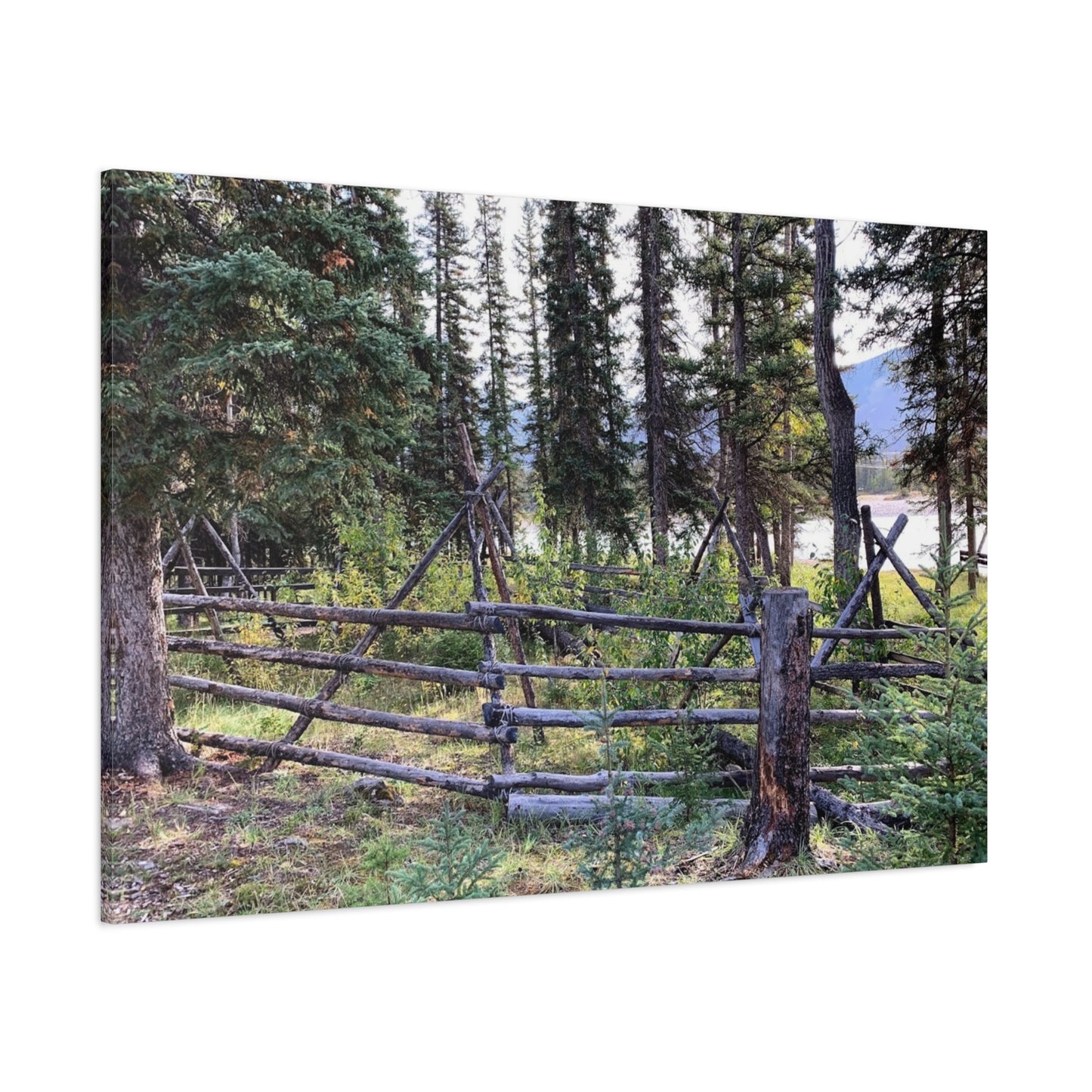 Nature-Inspired Wall Art Canvas Print - Tranquil Forest Scene