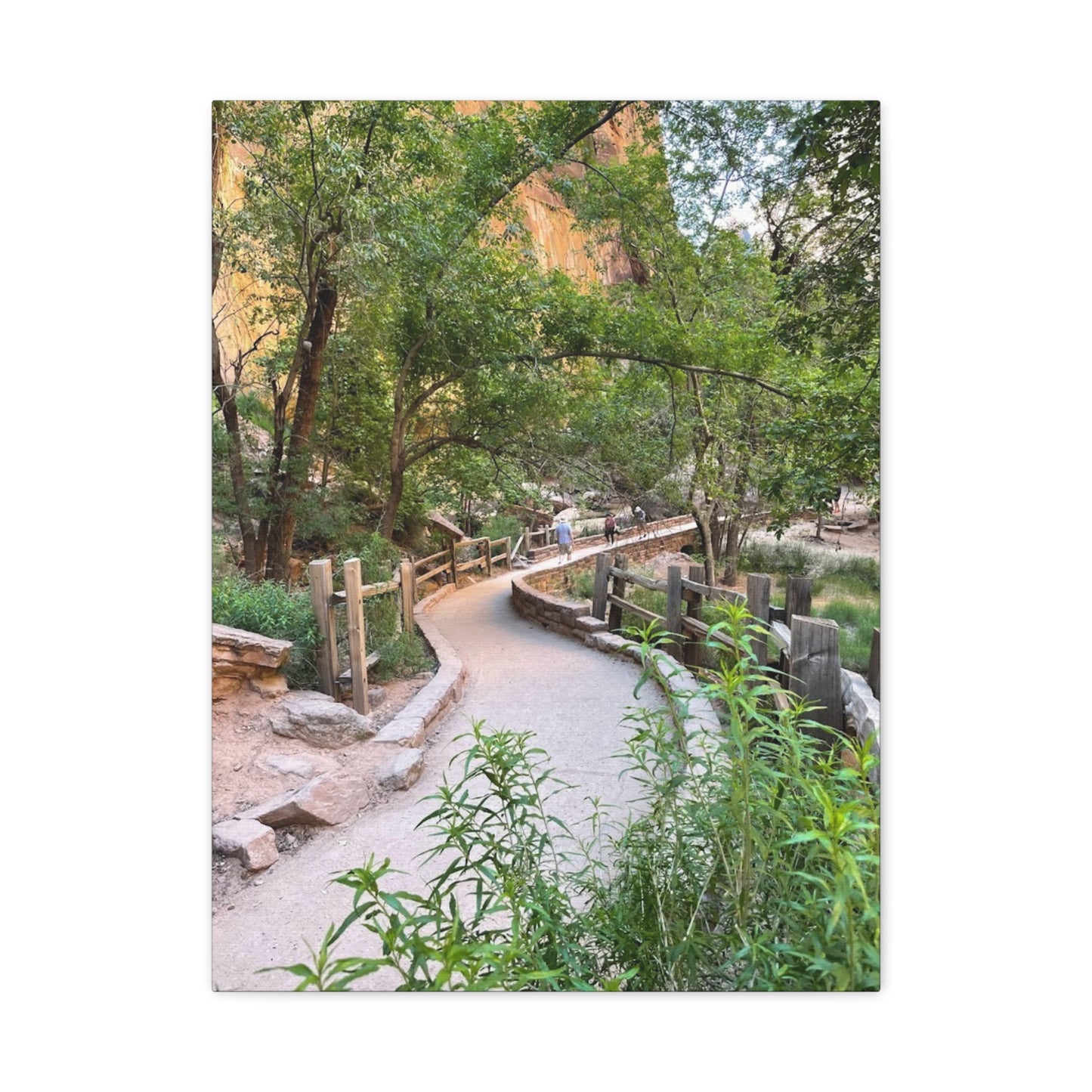 Nature Path Matte Canvas Wall Art - Scenic Landscape Decor