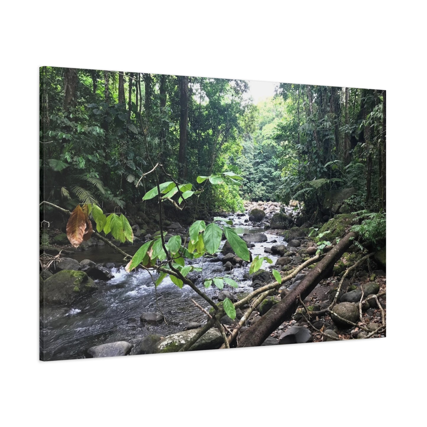 Nature-Inspired Matte Canvas Wall Art - Serene River Scene
