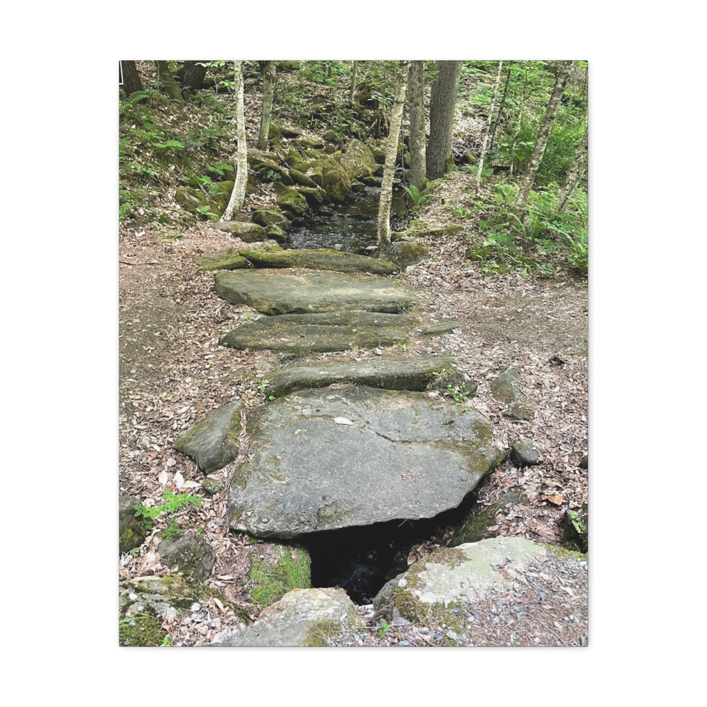 Nature-Inspired Stretched Canvas Art - Serene Stream Pathway Décor