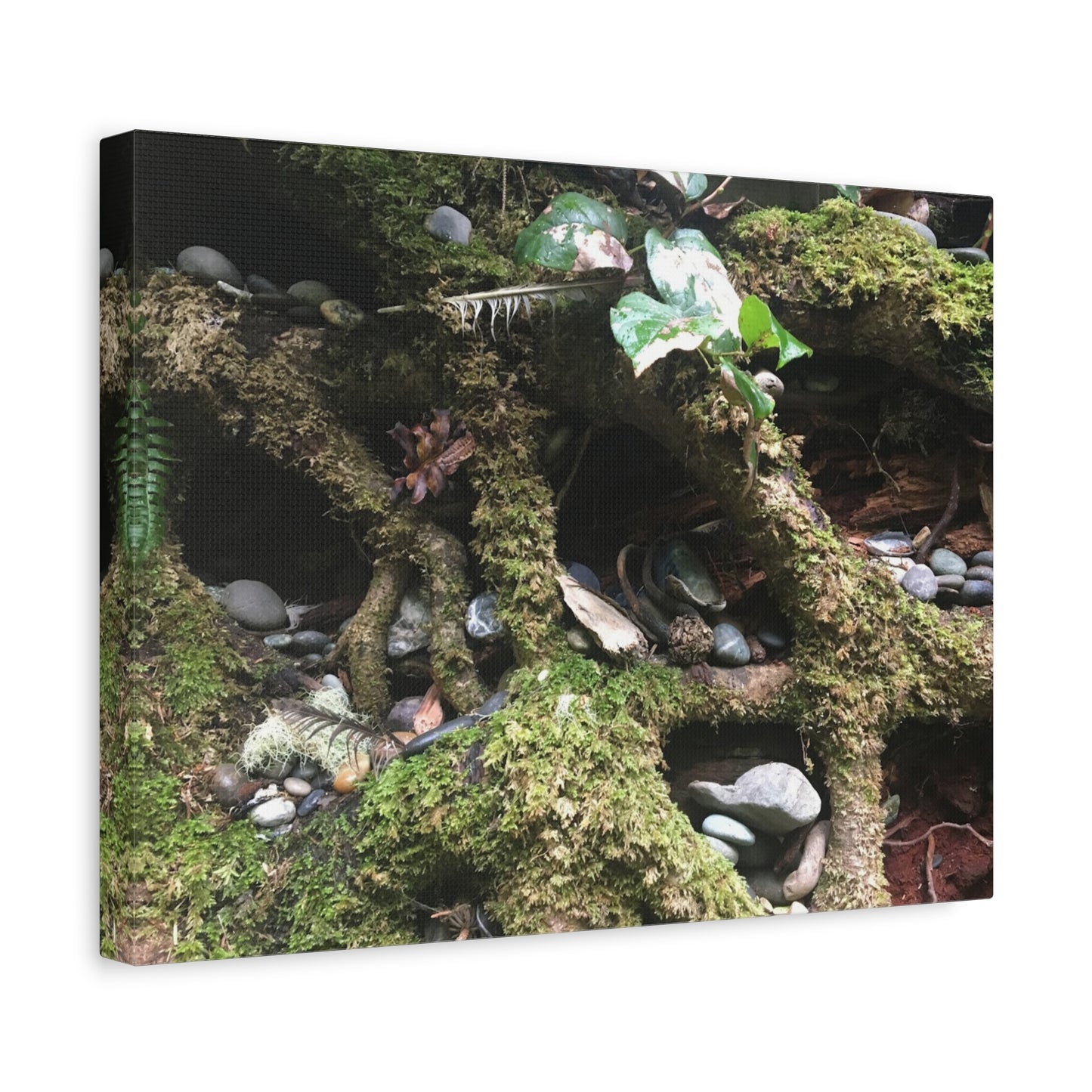 Nature-Inspired Matte Canvas Wall Art - Serene Root and Stone Design