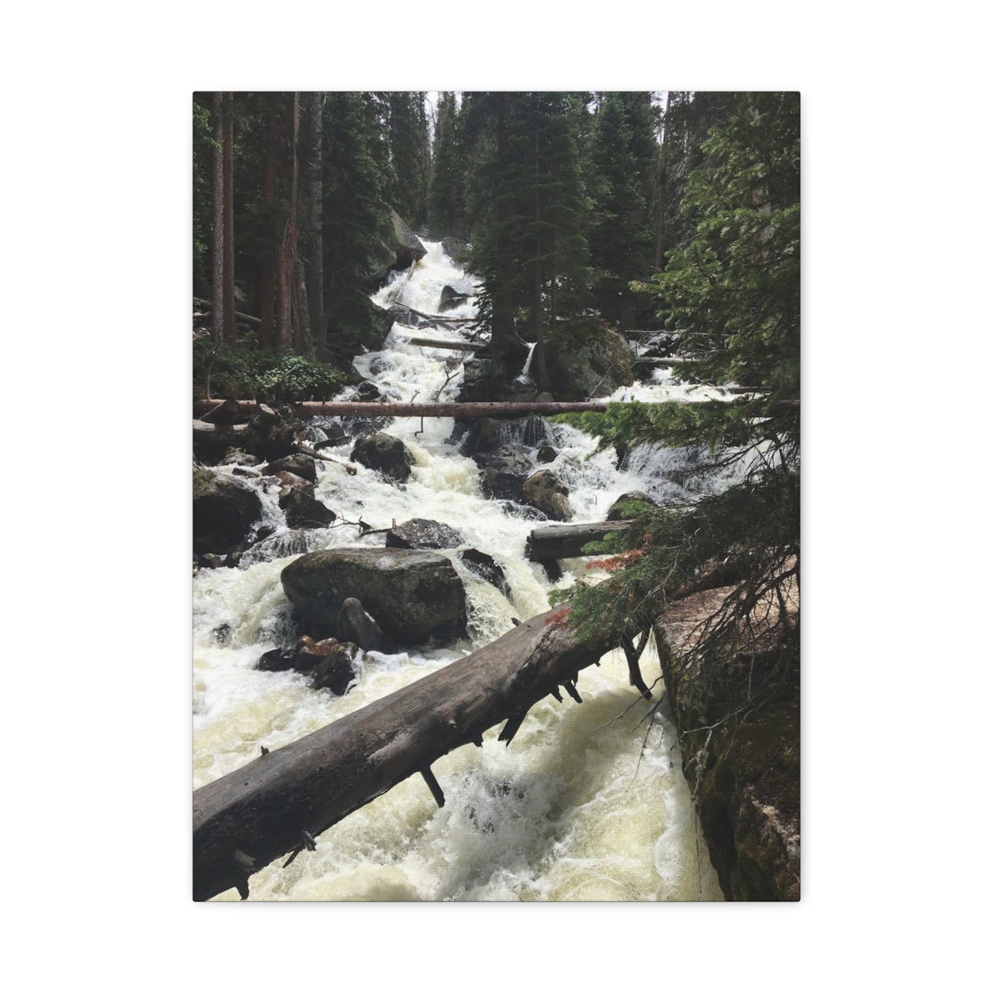 Nature Waterfall Canvas Art - Stretched Matte Wall Decor