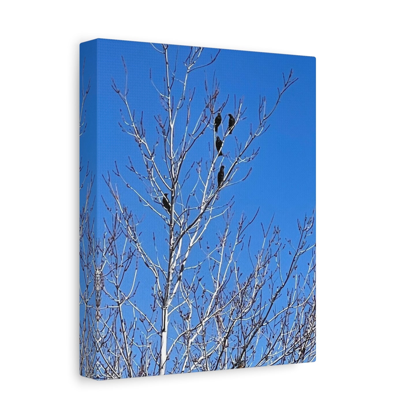 Serene Bird Canvas Wall Art - Tranquil Nature Decor for Home and Office