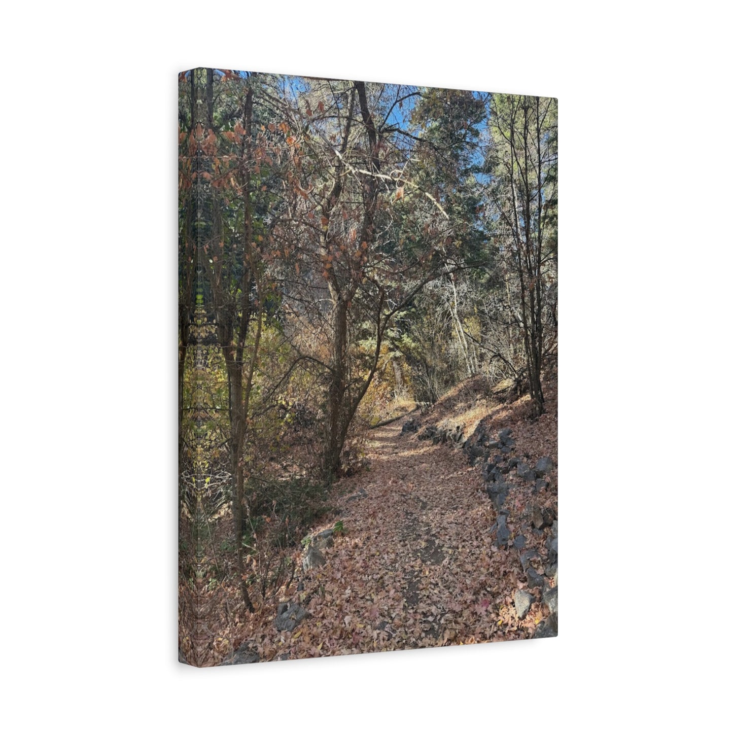 Nature-Inspired Matte Canvas Art - Stretched Wall Decor
