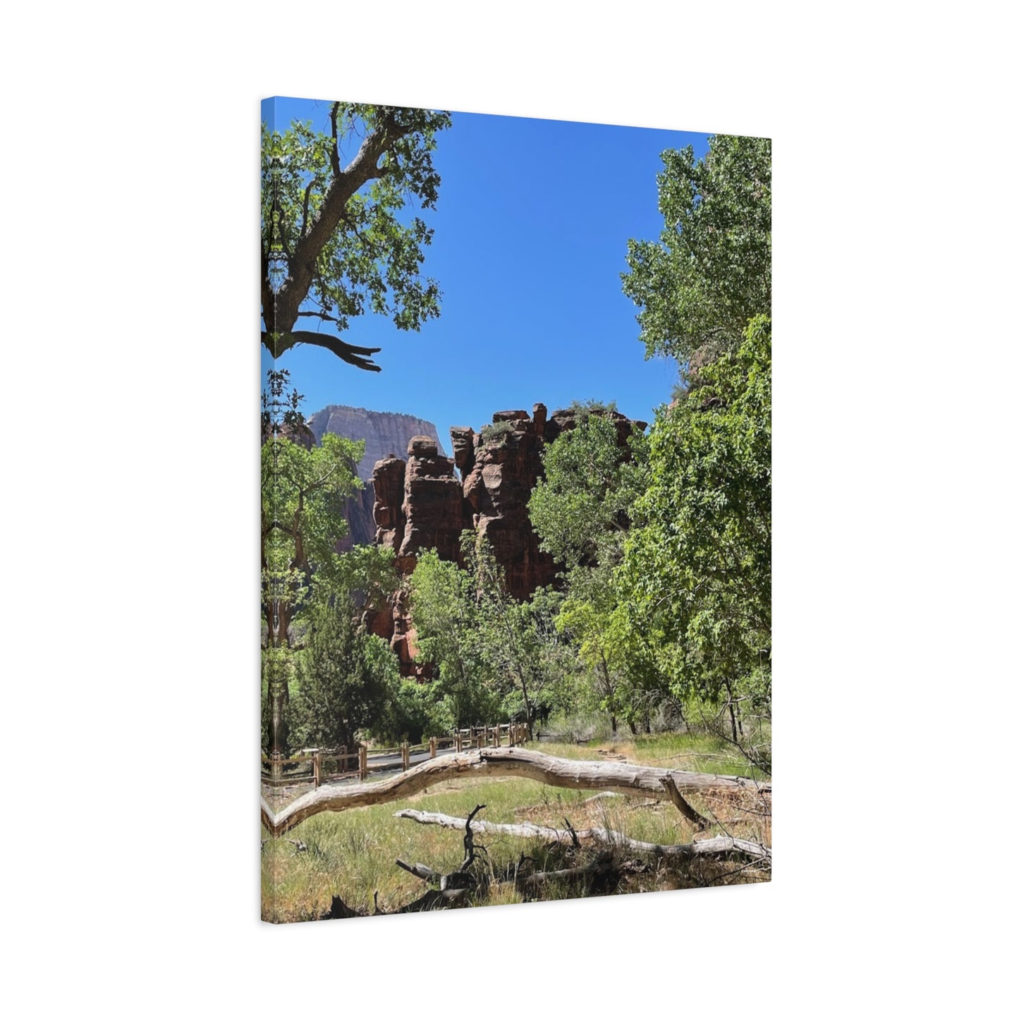 Stretched Canvas Art - Scenic Nature Landscape
