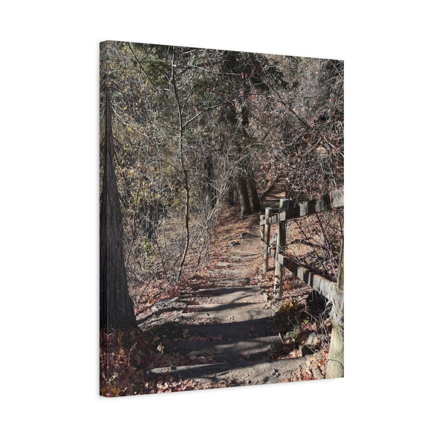 Nature Path Matte Canvas Wall Art - Tranquil Landscape Decor