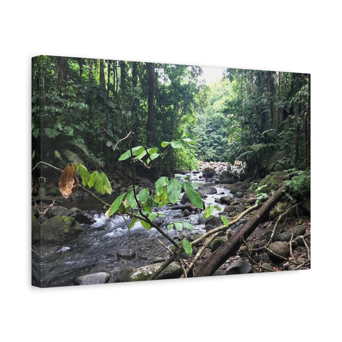 Nature-Inspired Matte Canvas Wall Art - Serene River Scene